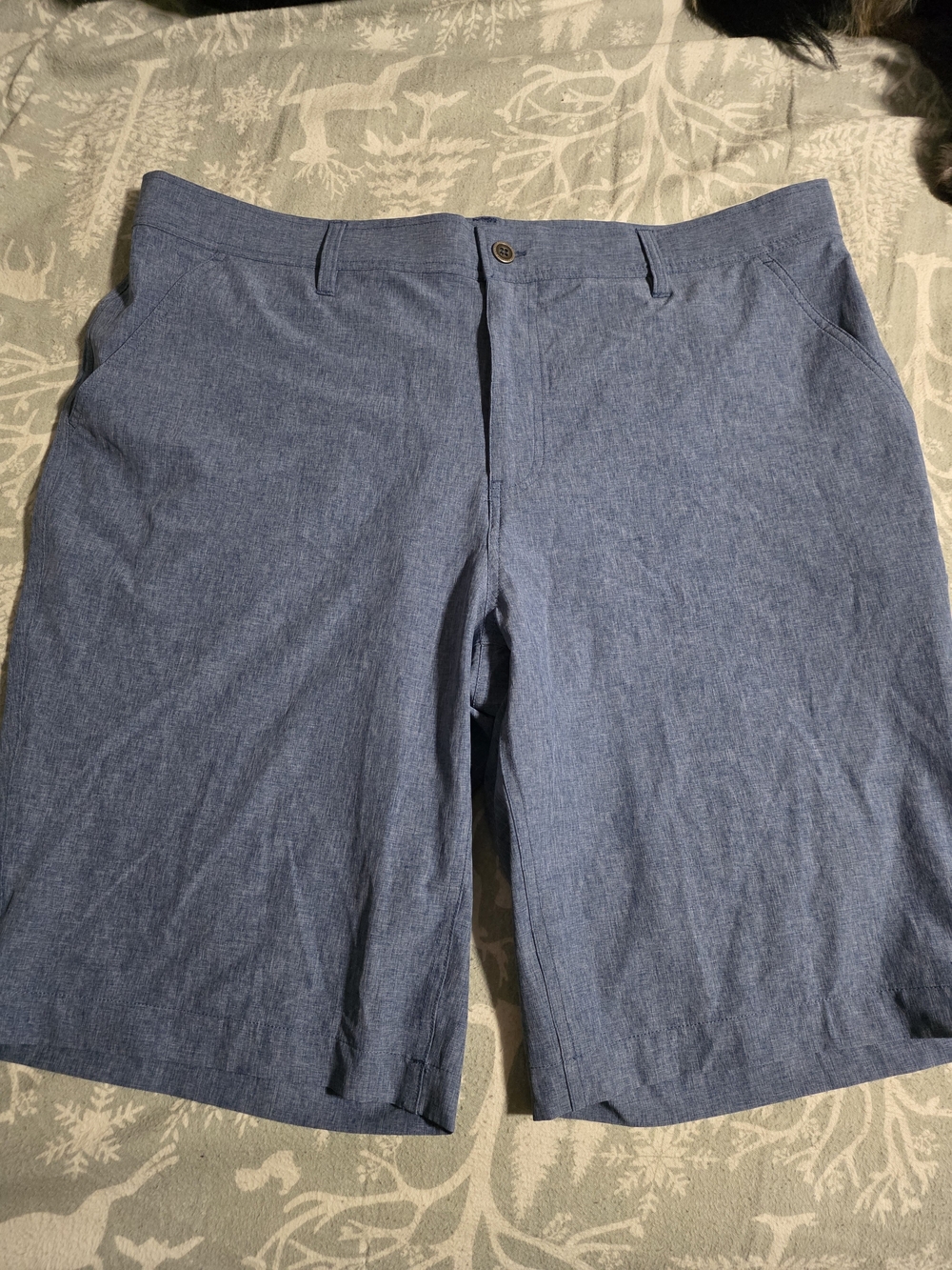 Men's Light Blue Flat-Front Stretch Shorts